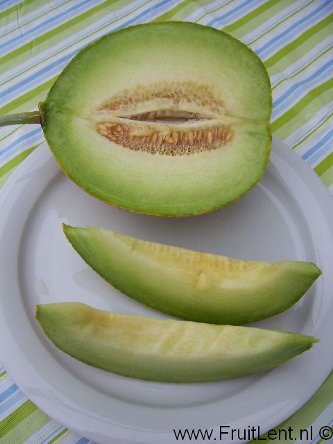 arava