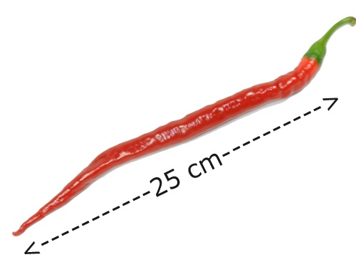 joes_long_cayenne3