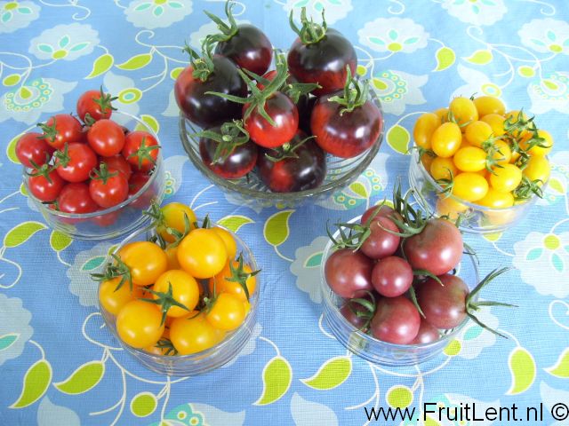 tomatenpalet