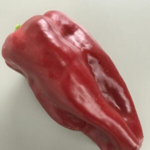 Nocera Rosso