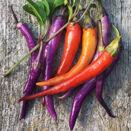 Buena-Mulata-Pepper
