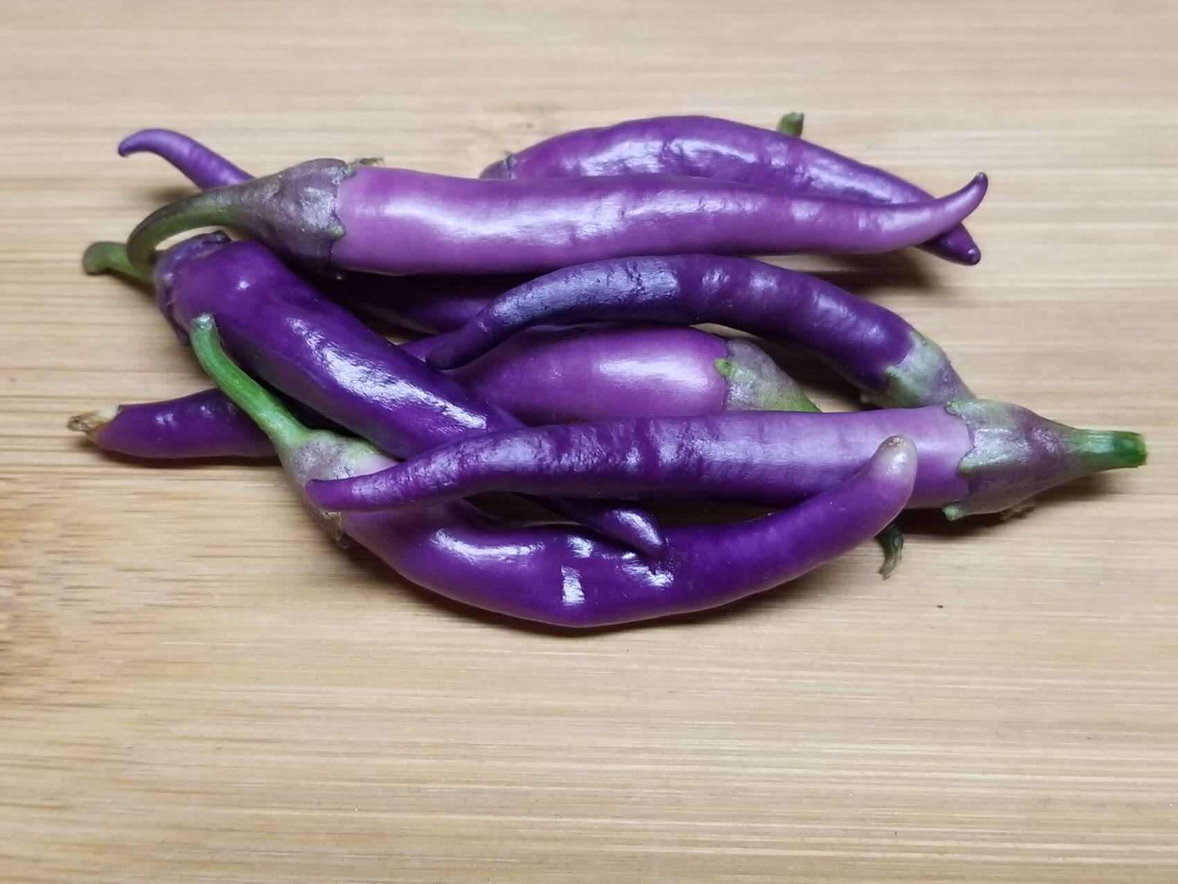 ChilesBuenaMulata4-2018-1