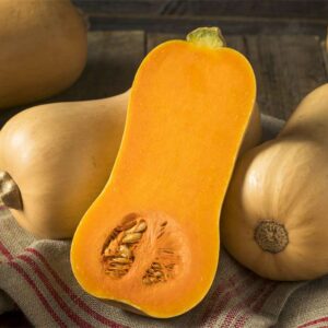 Betternut 1744 (F1-hybride)