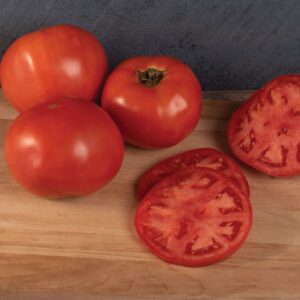 Galahad (F1-hybride)